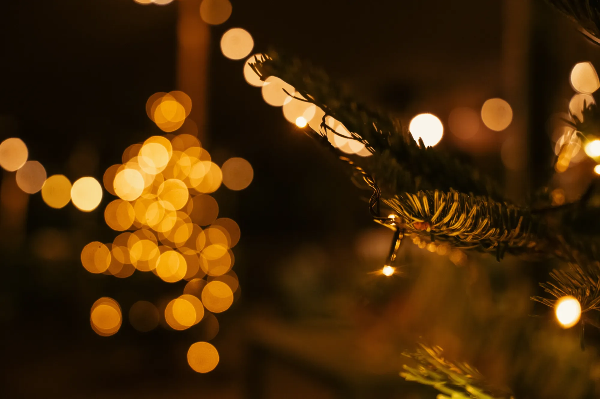 1729eaf70edceee014e88660c239a6c4f869ea50