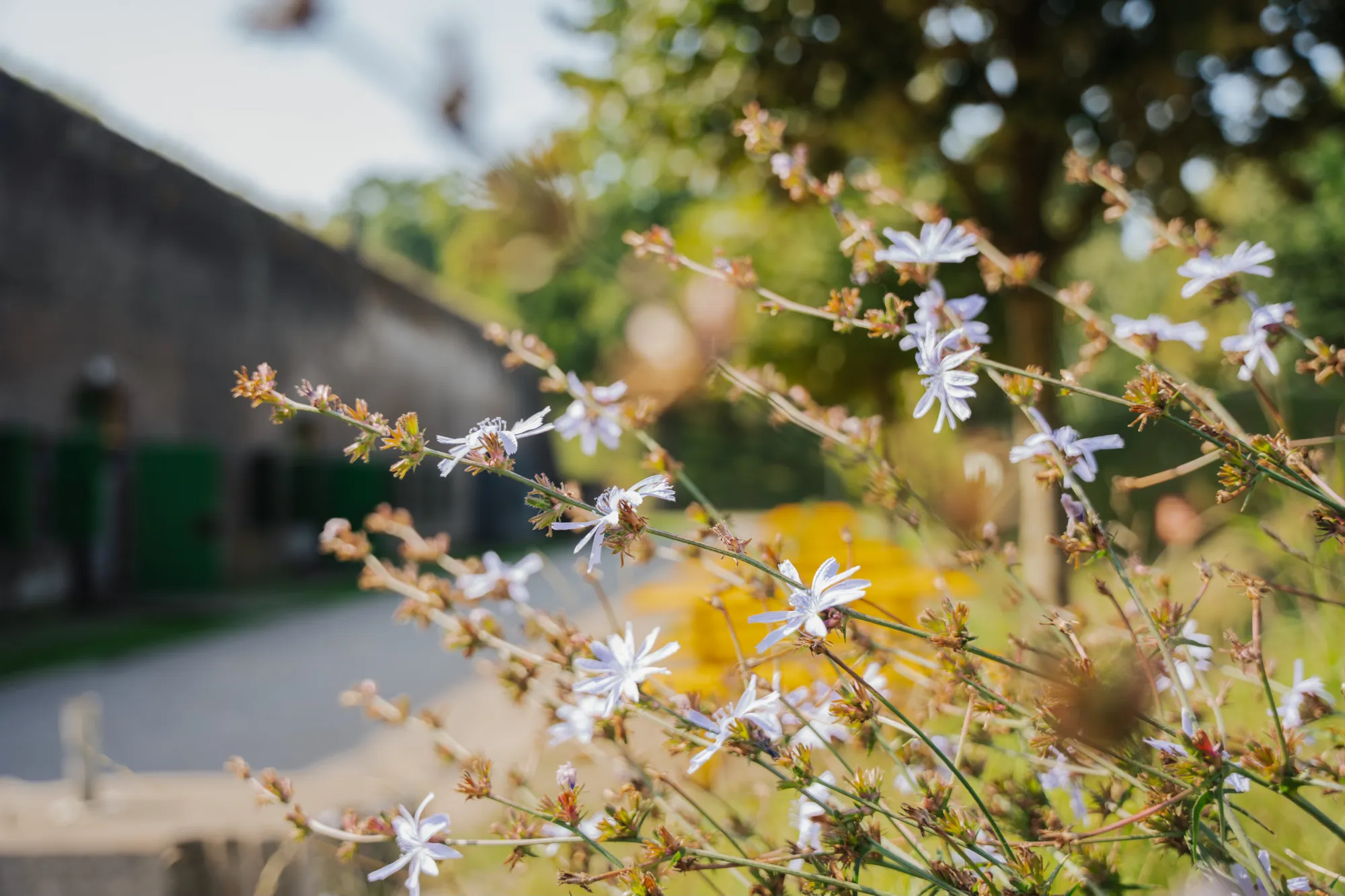 fdd29258dc876c3d6752675a524b2569dead587a