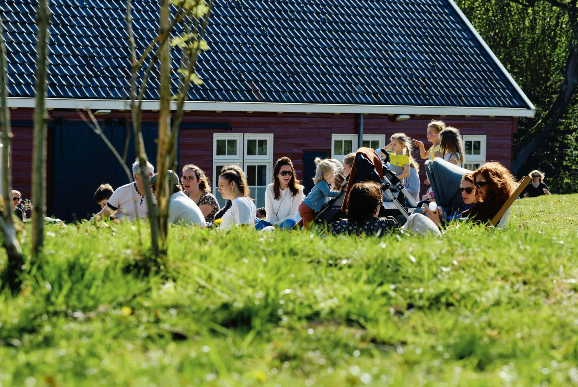 80e8ad77665fe5a2483b94971d8731c695facc99