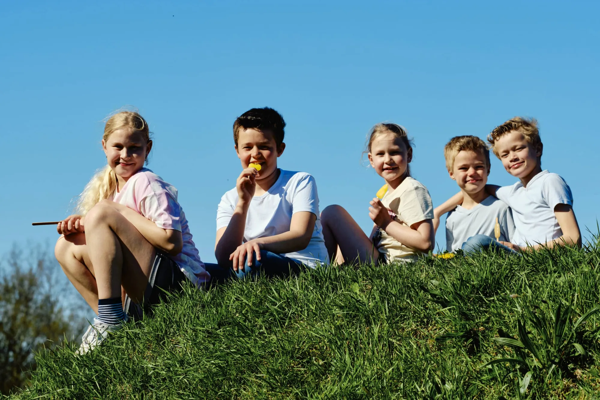 8b833708f62a6a070f1ce0d2e8699130a95fb216